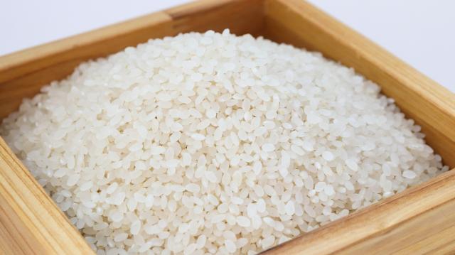 【長期募集】白米